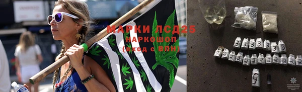прущие грибы Алзамай