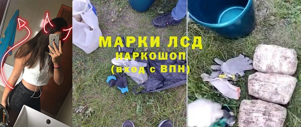 прущие грибы Алзамай