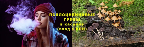 прущие грибы Алзамай