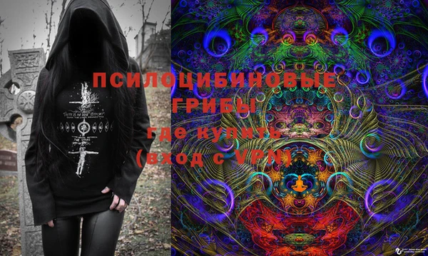 твердый Алексеевка