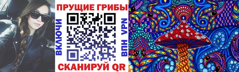 как найти Сенгилей darknet официальный сайт Галлюциногенные грибы мухоморы